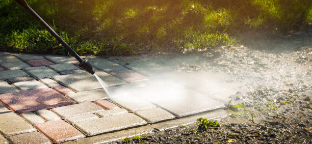 Best Solar Panel Cleaning  in Nixon, TX